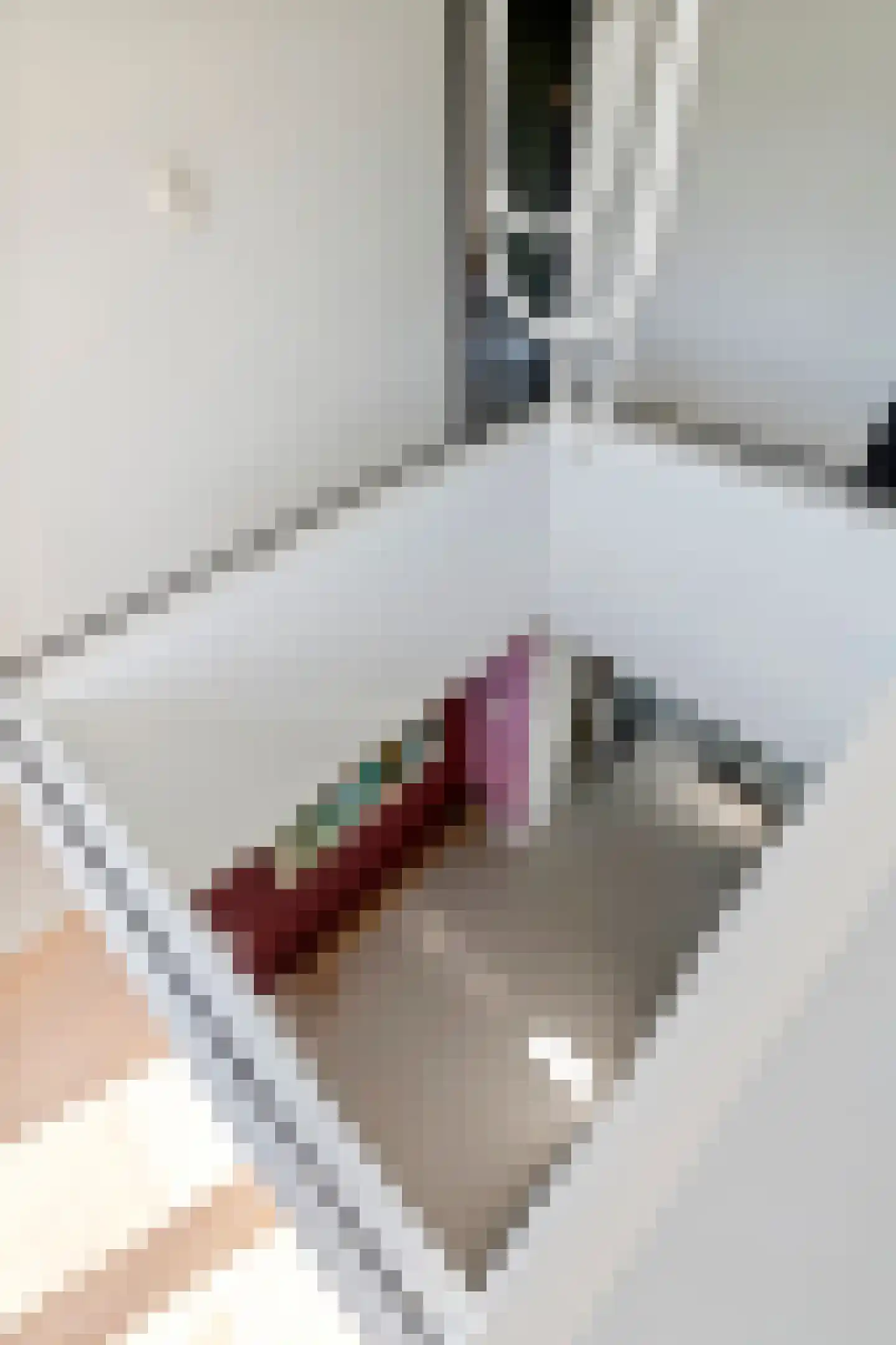 Dijkstoep 2 Rhenoy thumbnail 35