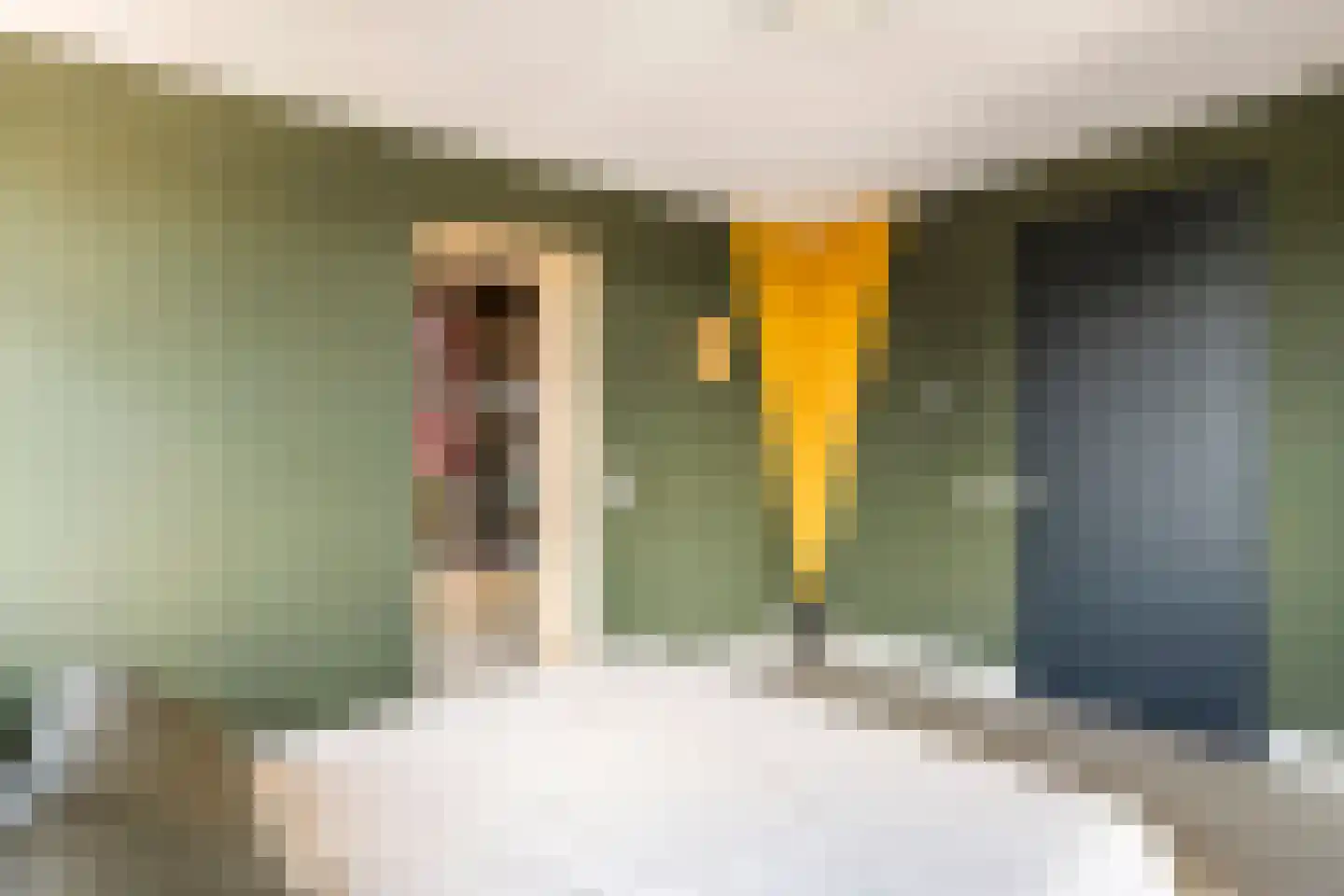 Dijkstoep 2 Rhenoy thumbnail 46