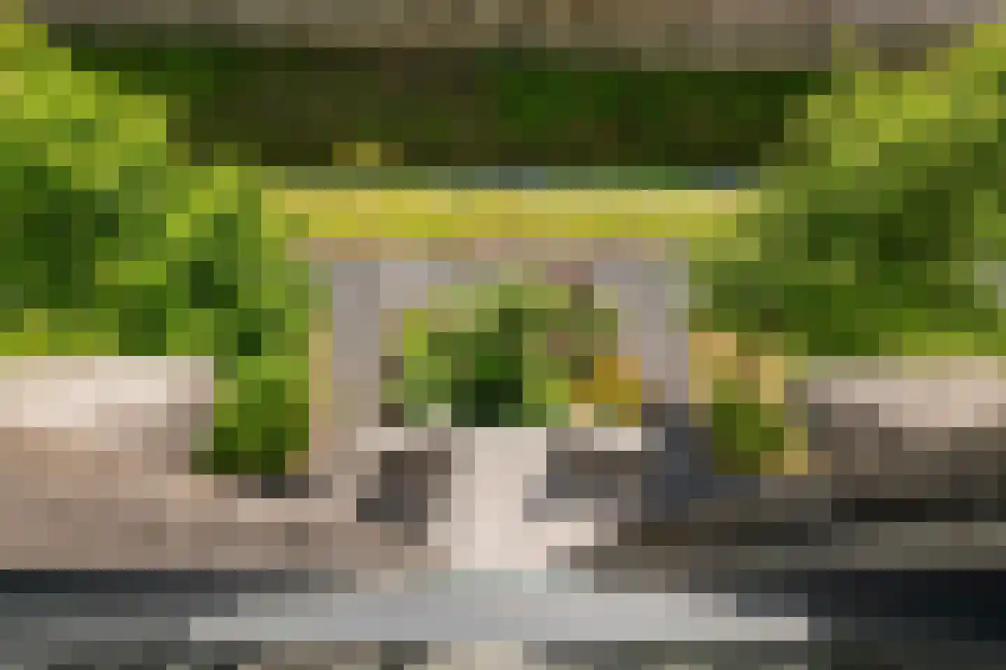 Dijkstoep 2 Rhenoy thumbnail 56