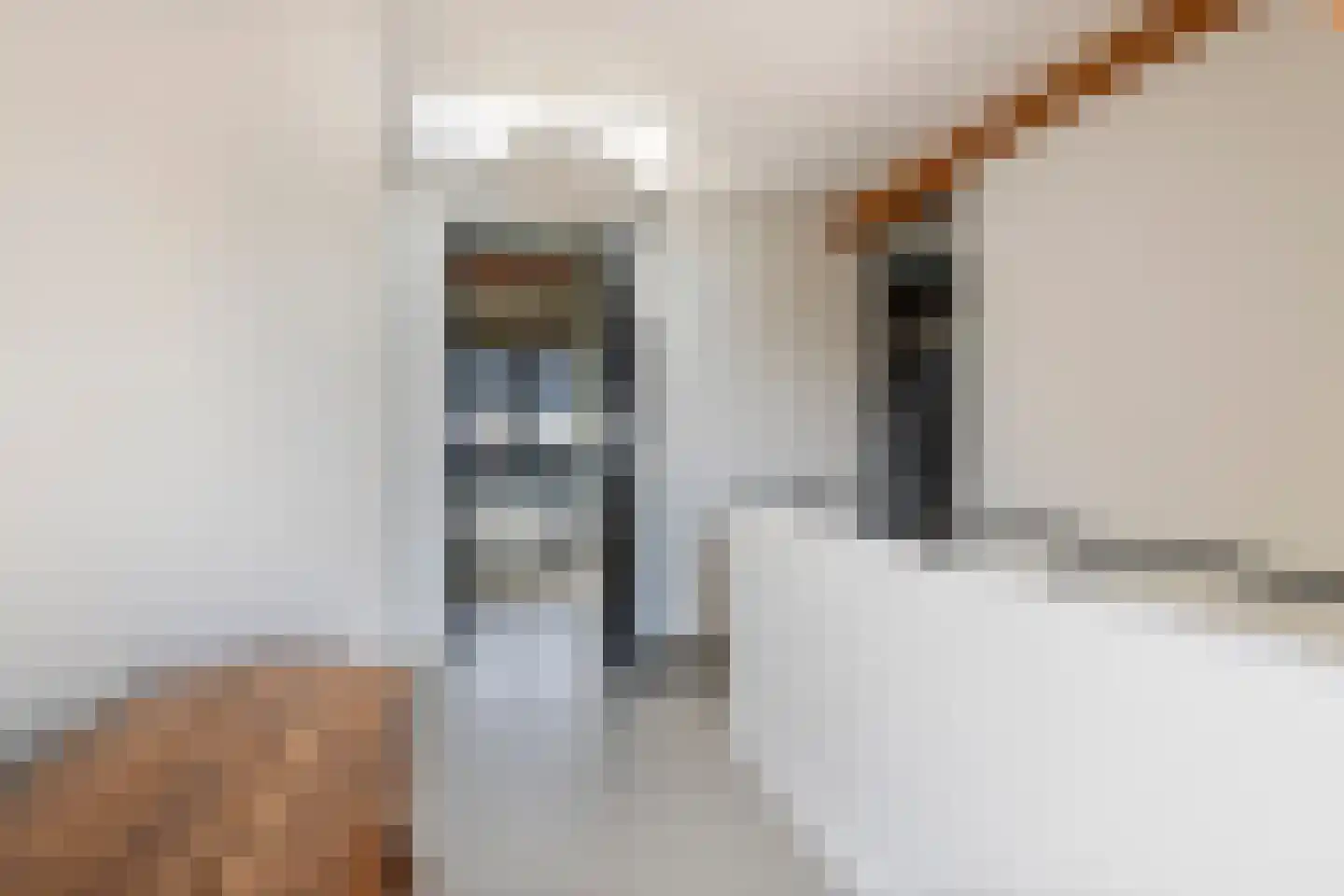 Dijkstoep 2 Rhenoy thumbnail 57