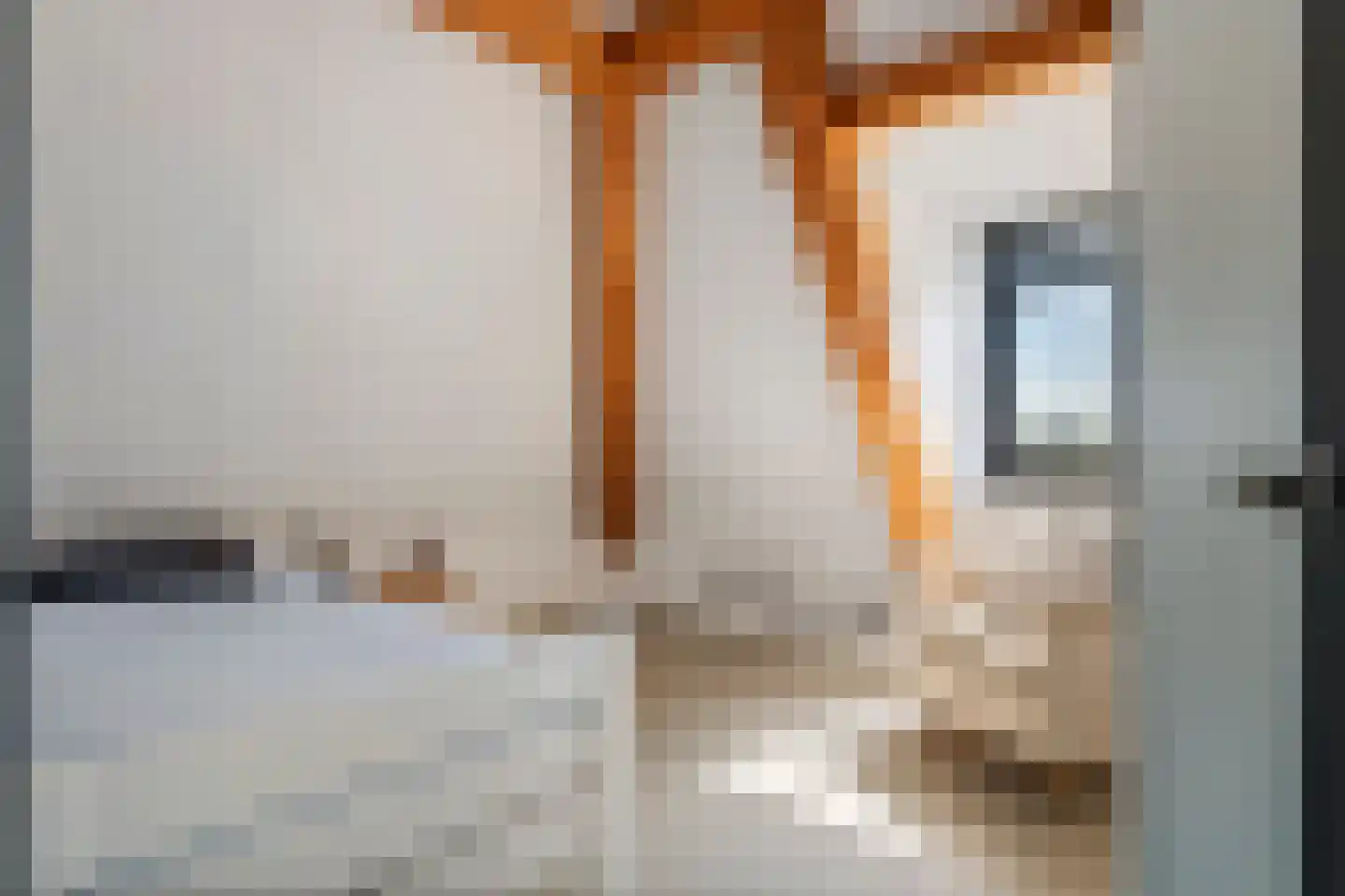 Dijkstoep 2 Rhenoy thumbnail 58
