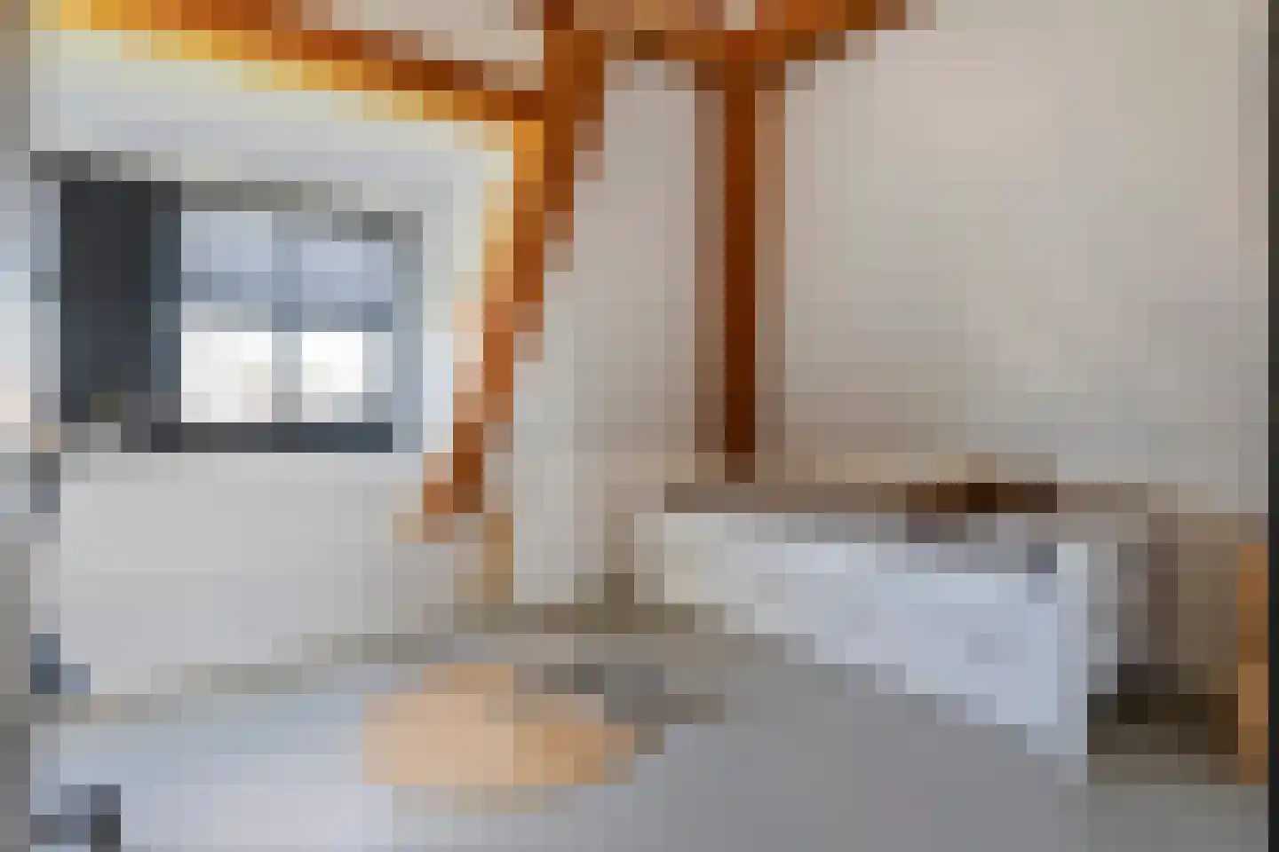 Dijkstoep 2 Rhenoy thumbnail 59