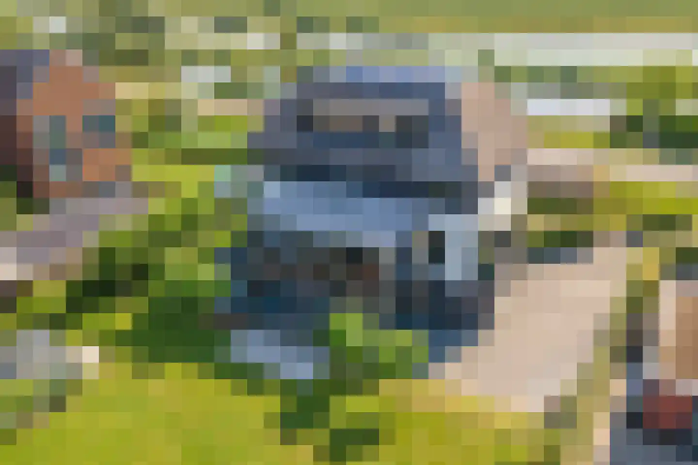 Dijkstoep 2 Rhenoy thumbnail 6
