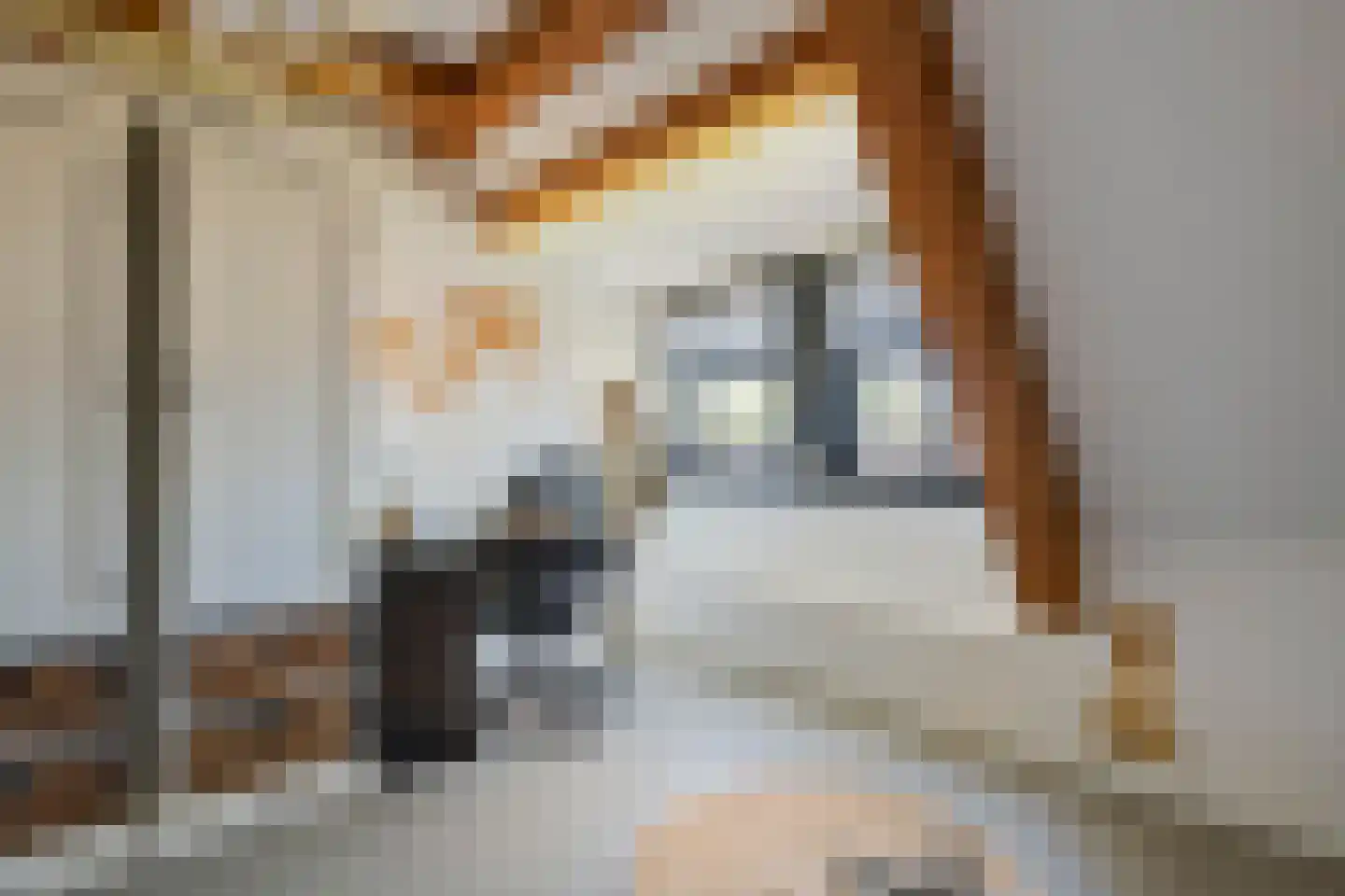 Dijkstoep 2 Rhenoy thumbnail 60