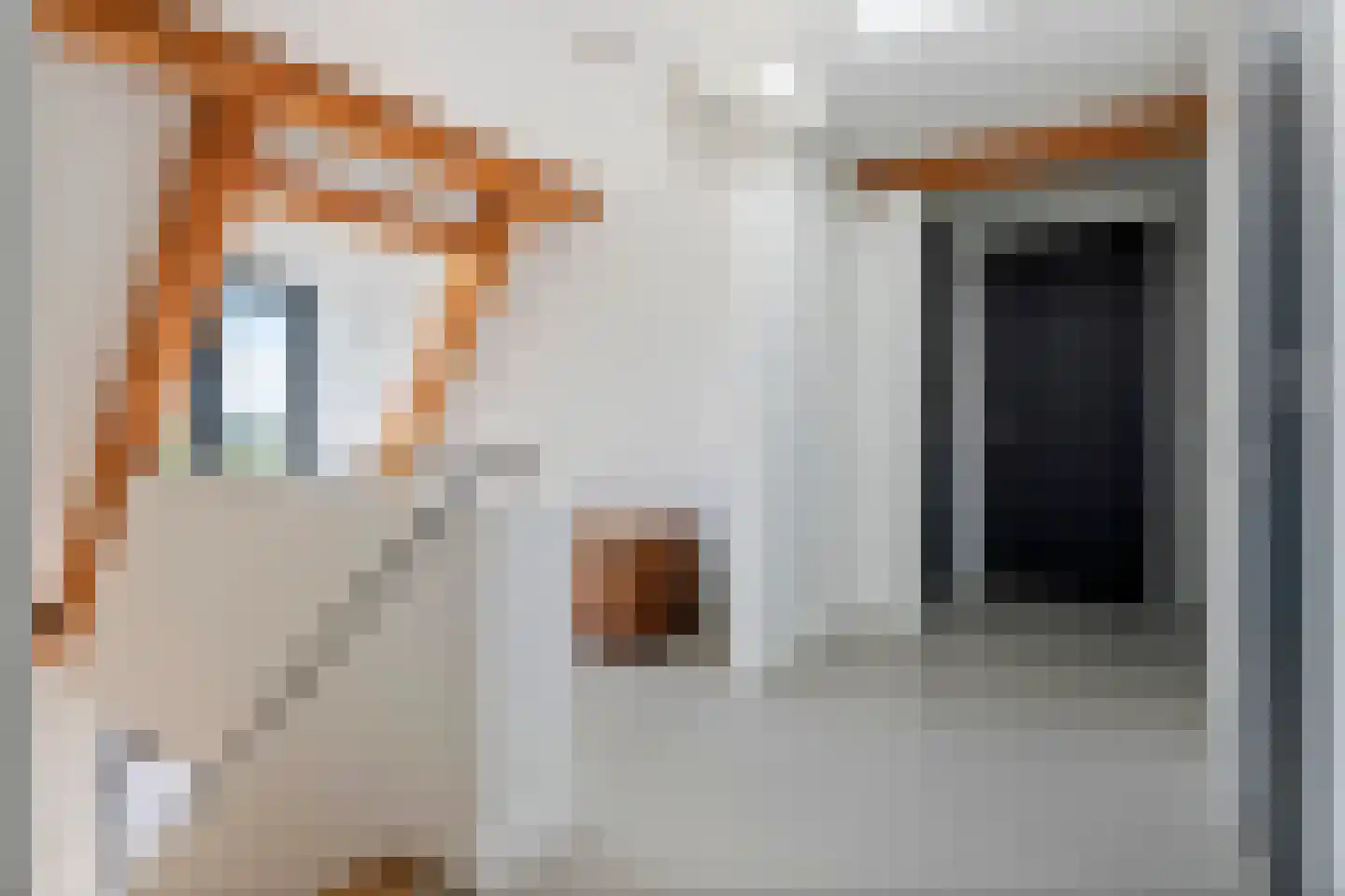 Dijkstoep 2 Rhenoy thumbnail 61