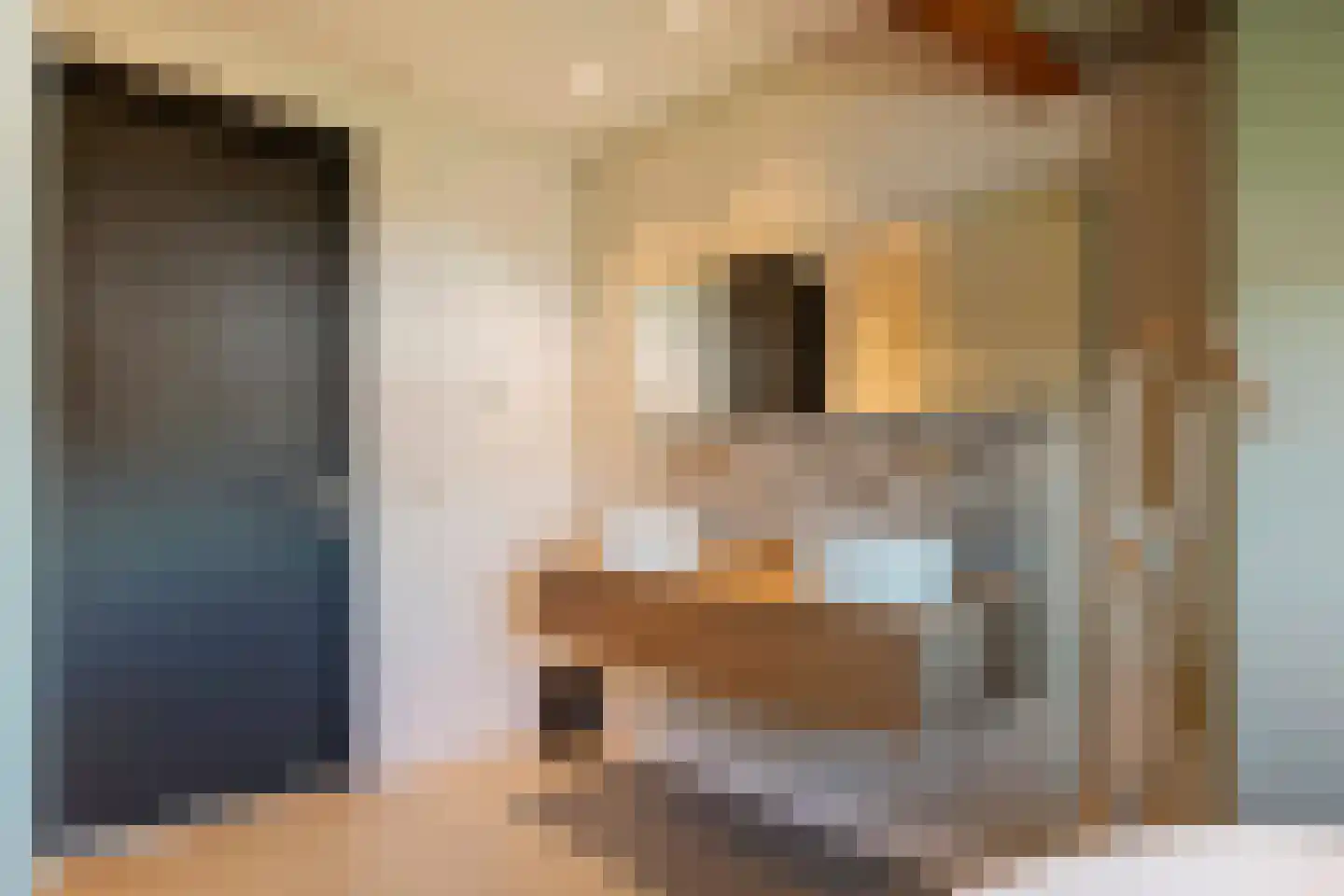 Dijkstoep 2 Rhenoy thumbnail 63