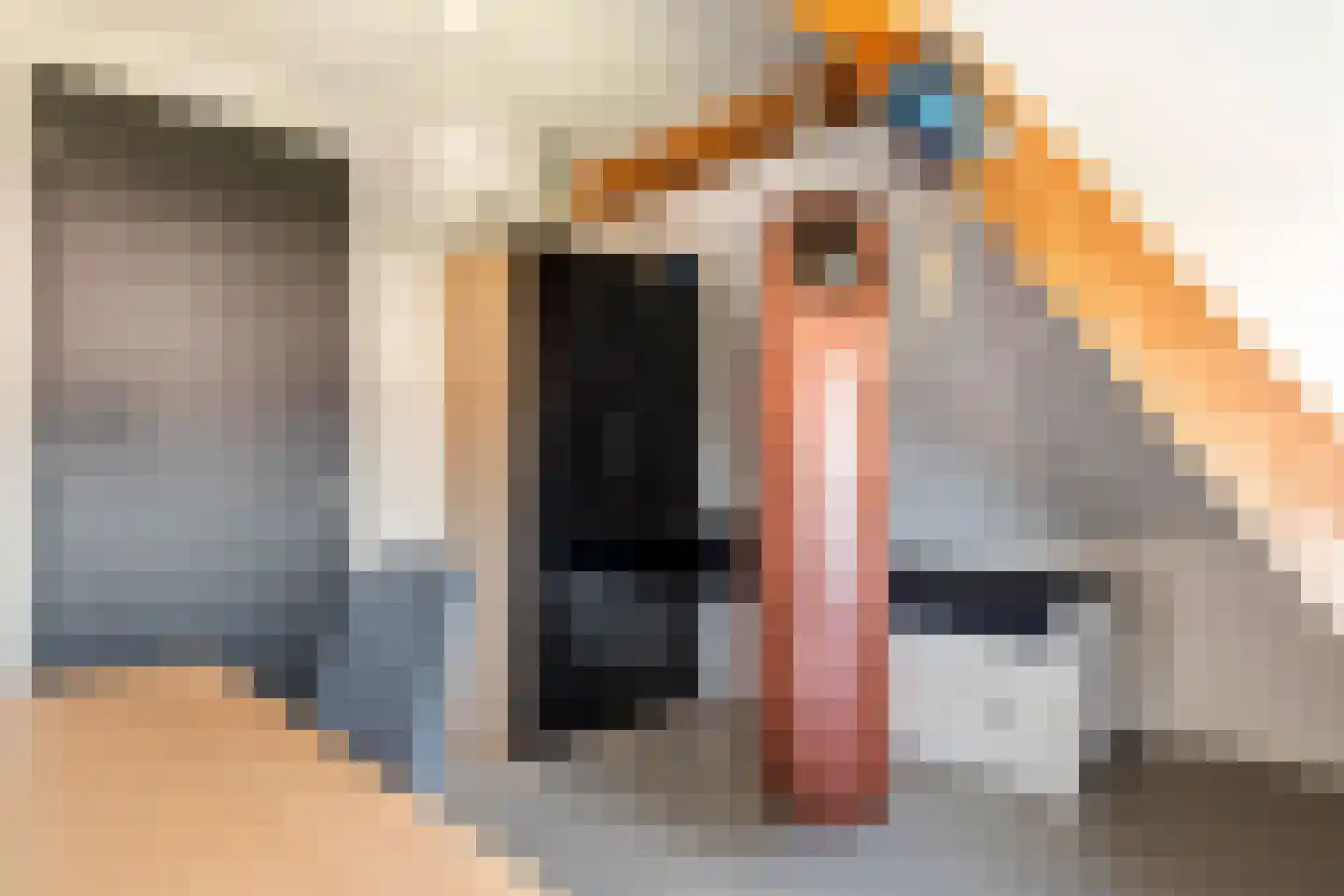 Dijkstoep 2 Rhenoy thumbnail 64