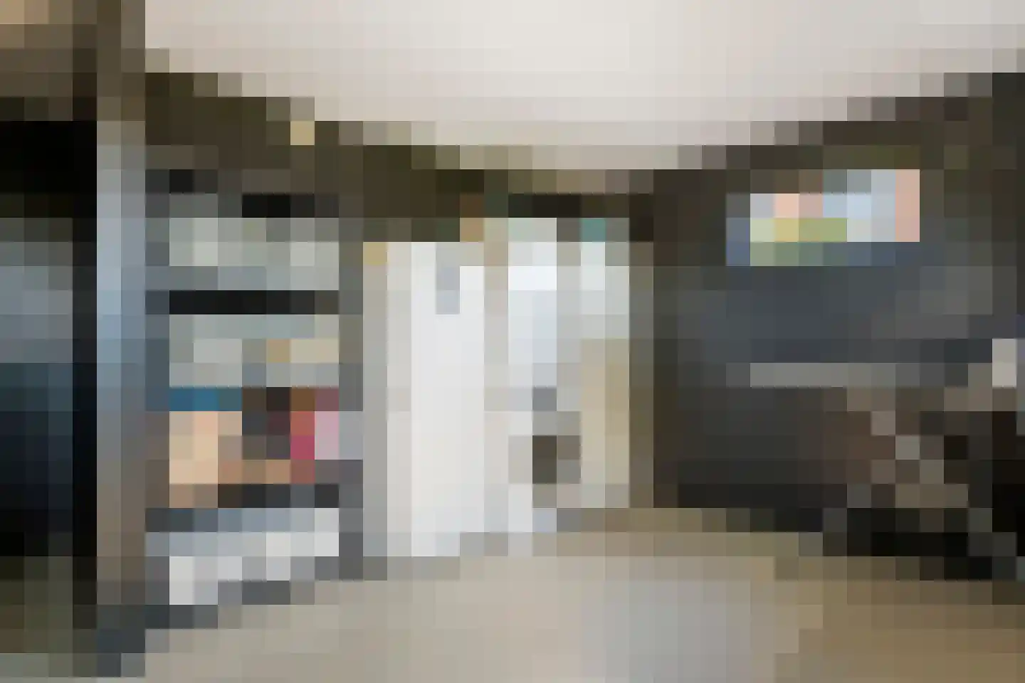 Dijkstoep 2 Rhenoy thumbnail 66
