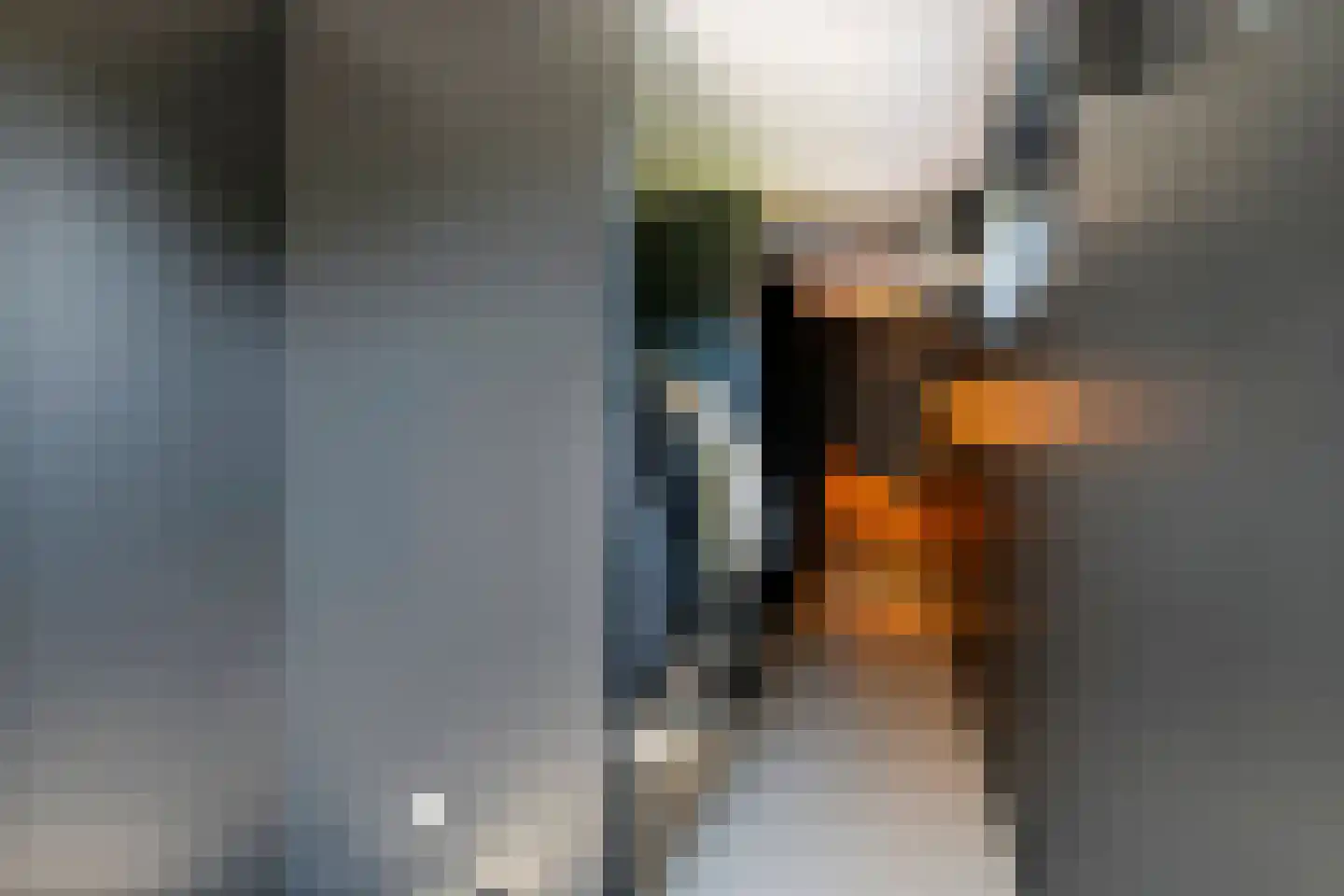 Dijkstoep 2 Rhenoy thumbnail 67