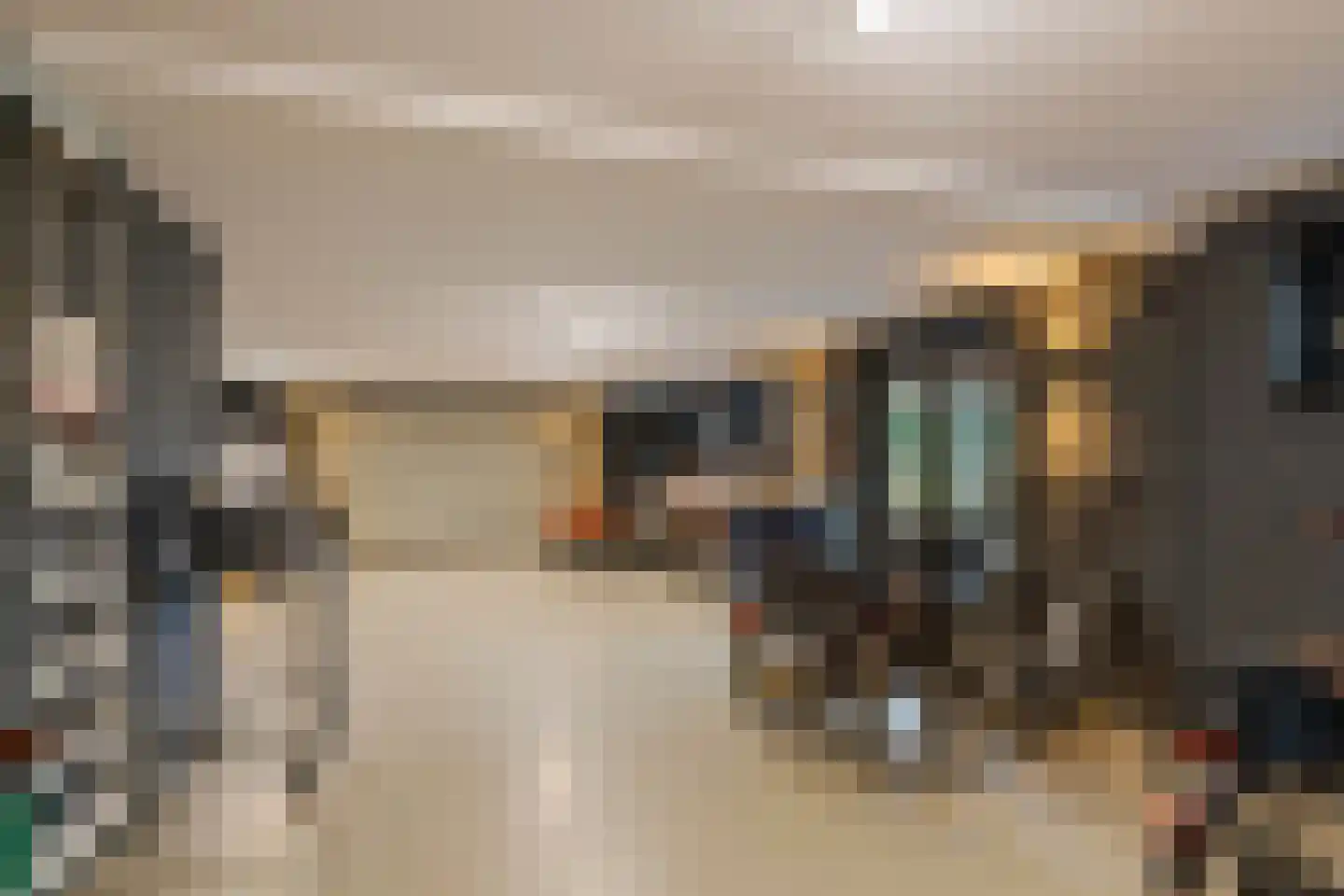 Dijkstoep 2 Rhenoy thumbnail 69