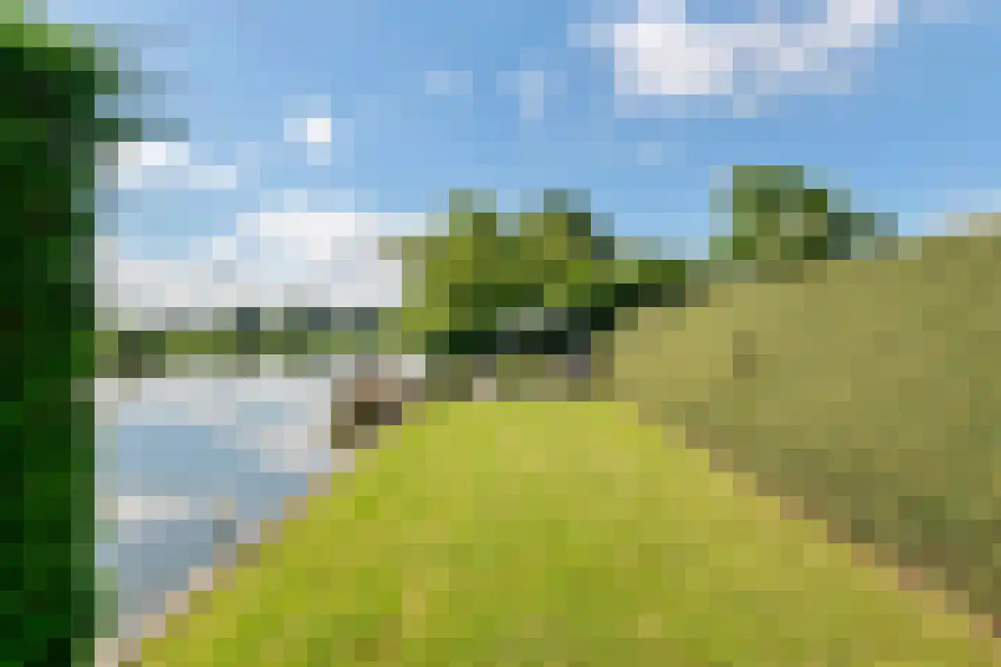 Dijkstoep 2 Rhenoy thumbnail 78