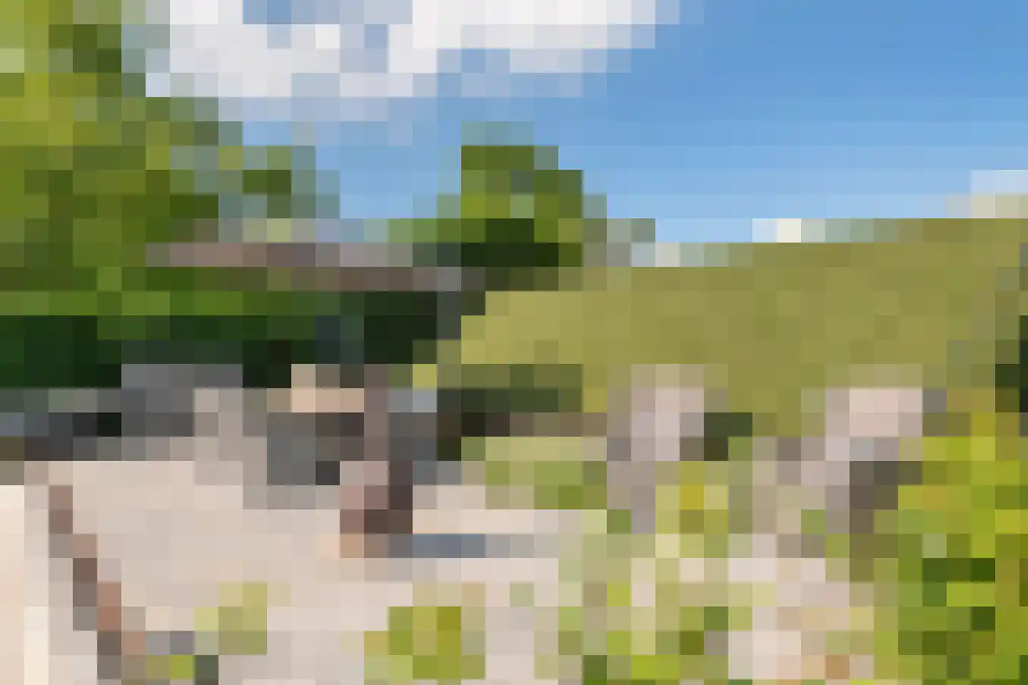 Dijkstoep 2 Rhenoy thumbnail 79