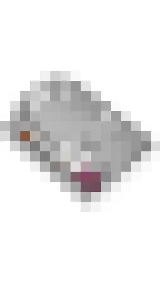 Dijkstoep 2 Rhenoy thumbnail 82