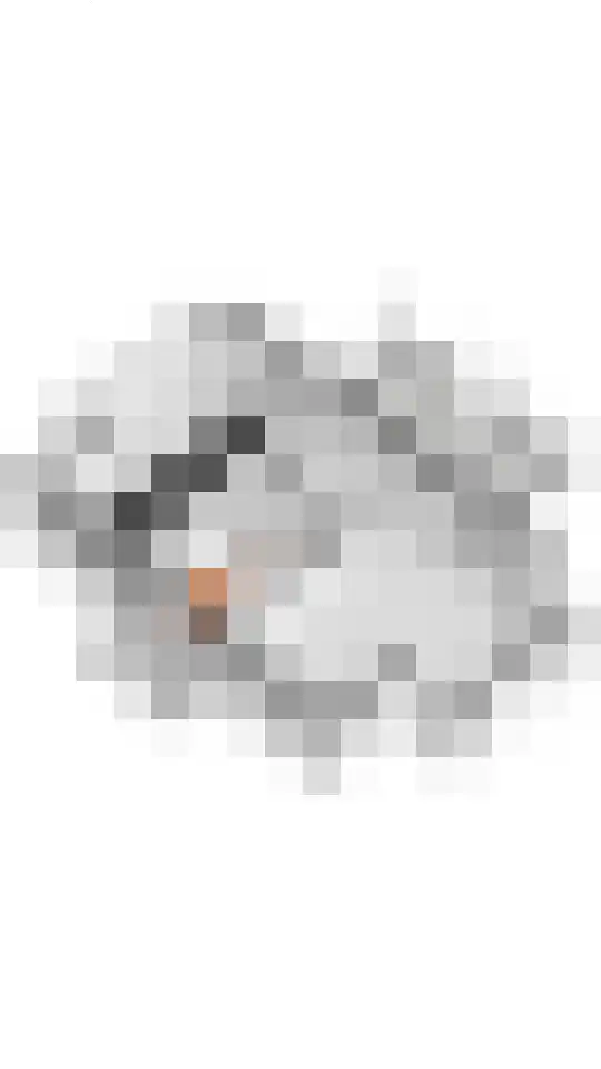 Dijkstoep 2 Rhenoy thumbnail 84