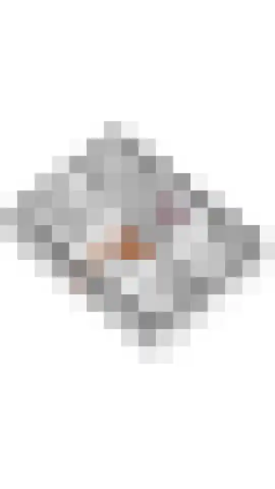 Dijkstoep 2 Rhenoy thumbnail 86
