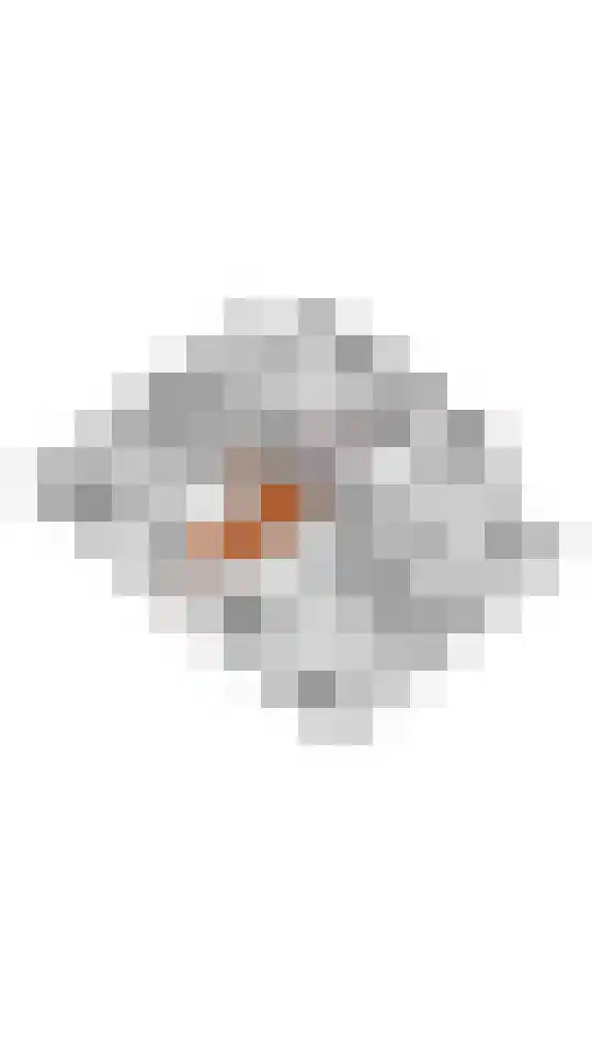 Dijkstoep 2 Rhenoy thumbnail 88