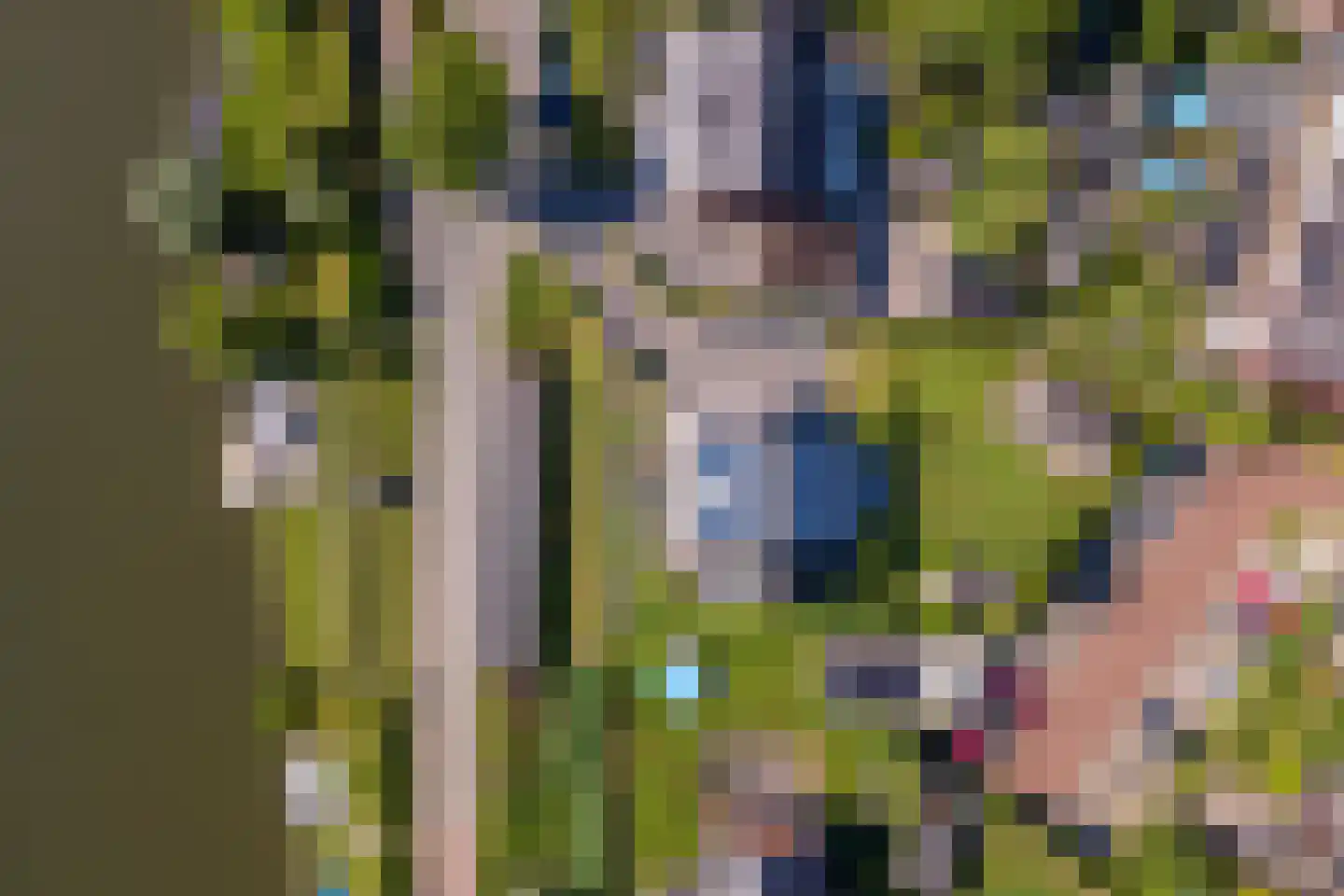 Dijkstoep 2 Rhenoy thumbnail 9