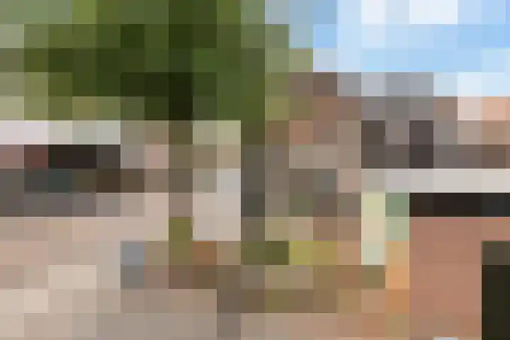 Dijkstraat 1 A Zwolle thumbnail 5