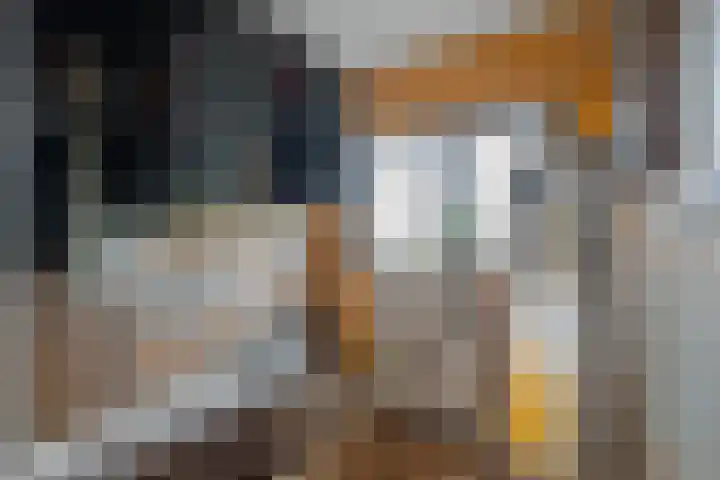 Dijkstraat 1 Den Oever thumbnail 25