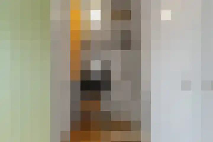Dijkstraat 1 Den Oever thumbnail 27