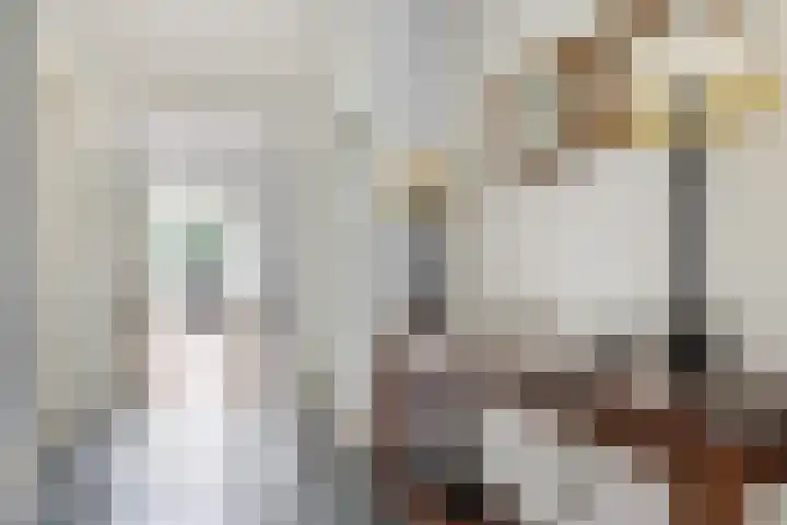Dijkstraat 1 Gendt thumbnail 15