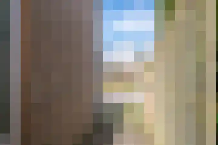 Dijkstraat 1 Gendt thumbnail 56