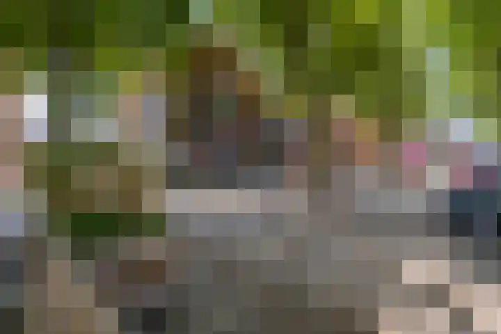 Dijkstraat 1 Gendt thumbnail 66