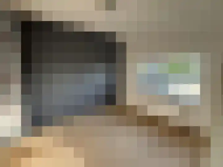 Dijkstraat 10 Sas van Gent thumbnail 13