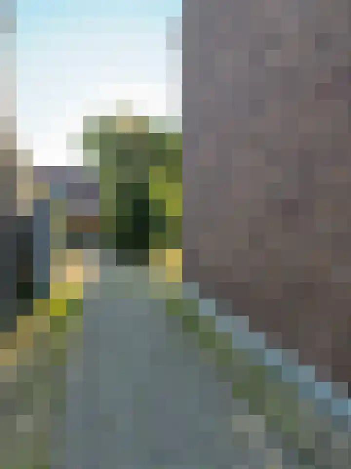 Dijkstraat 10 Sas van Gent thumbnail 19