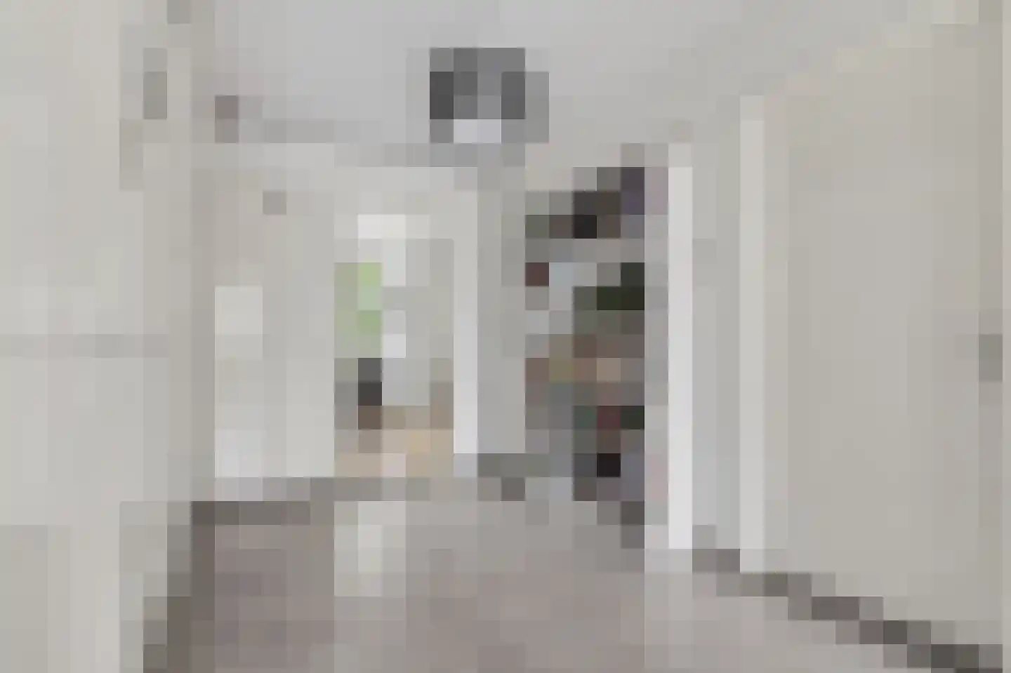 Dijkstraat 102 Arnhem thumbnail 5