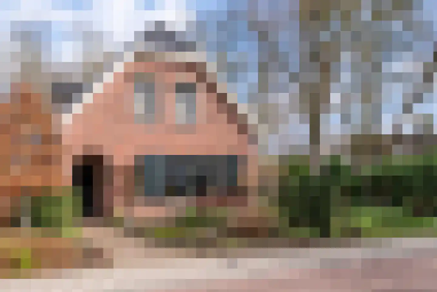 Dijkstraat 102 Veenendaal thumbnail 47