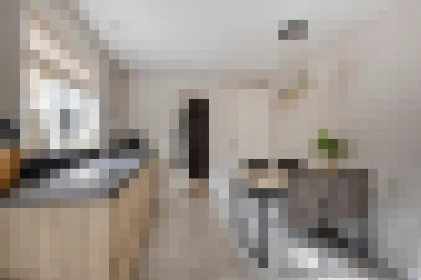 Dijkstraat 104 Valkenswaard thumbnail 8