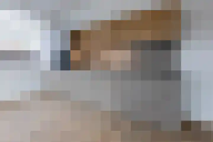 Dijkstraat 12 C Hansweert thumbnail 7