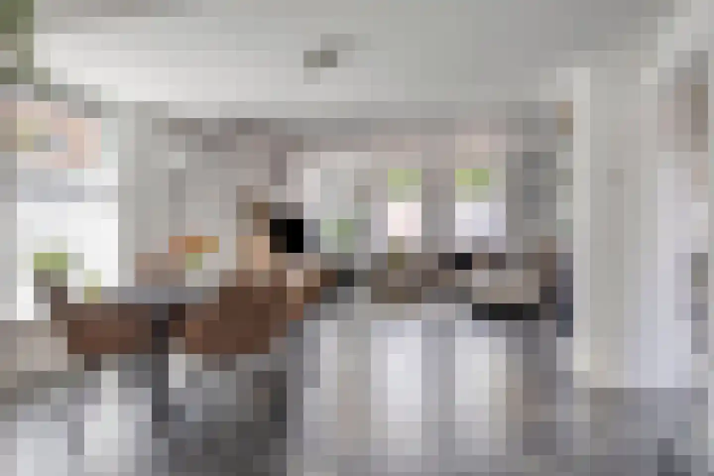 Dijkstraat 13 Scharendijke thumbnail 4