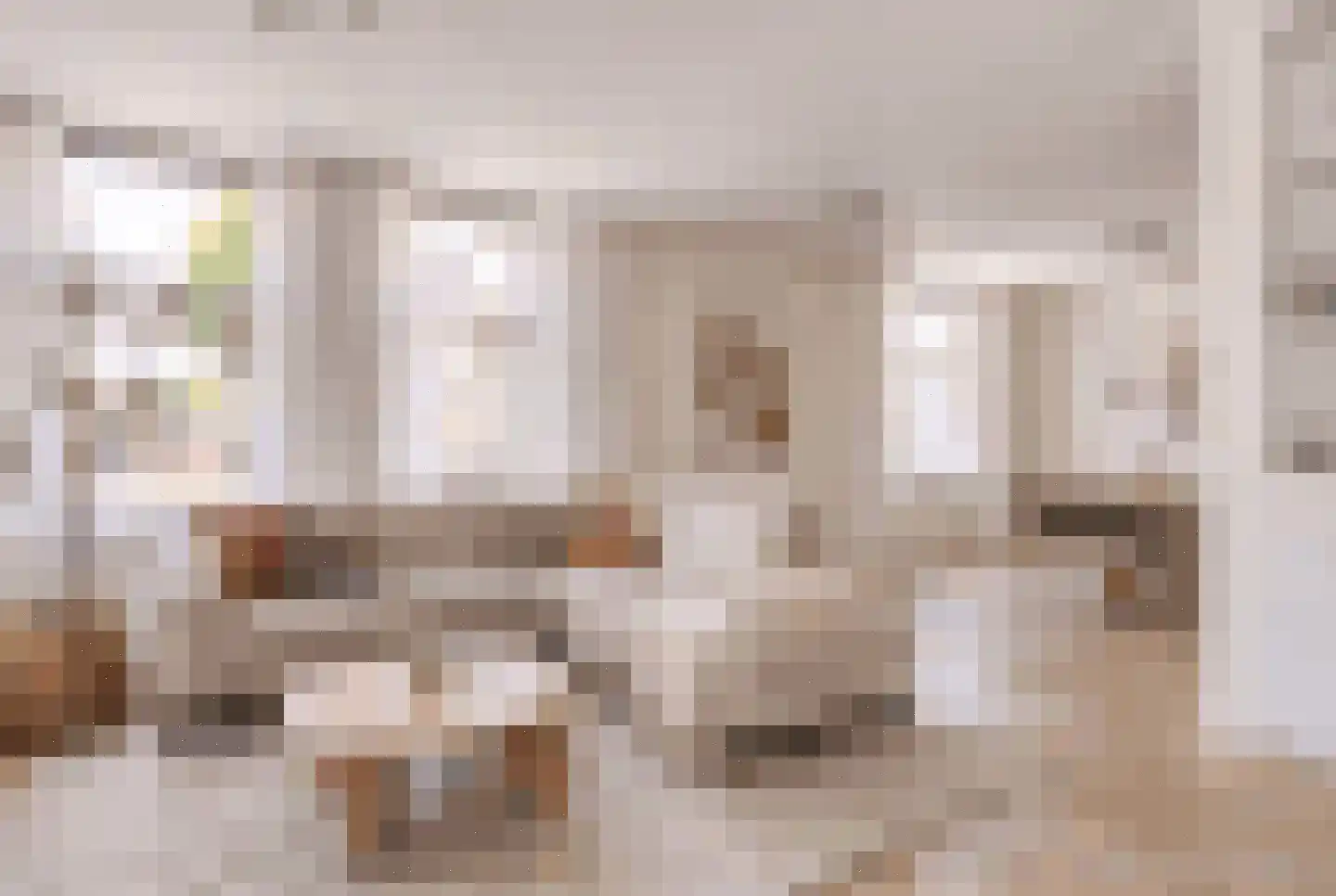 Dijkstraat 13 Scharendijke thumbnail 6