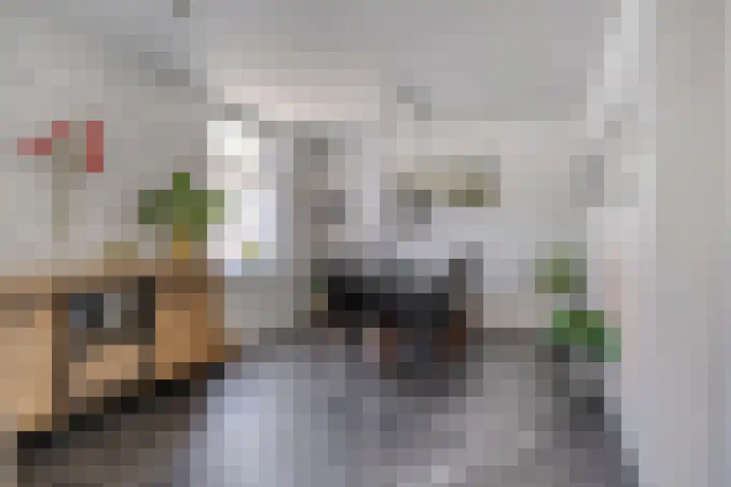 Dijkstraat 13 Scharendijke thumbnail 7
