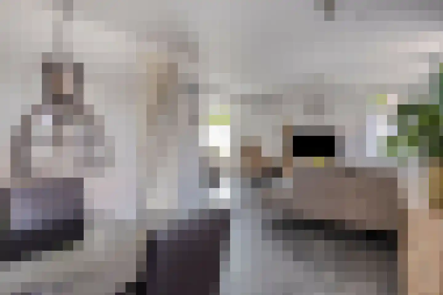 Dijkstraat 13 Scharendijke thumbnail 8