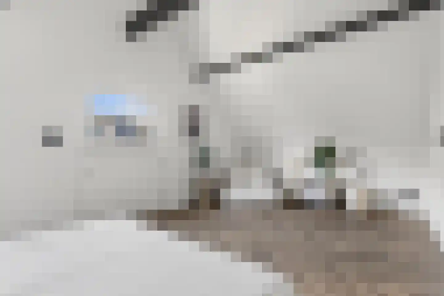 Dijkstraat 14 2 Arnhem thumbnail 22