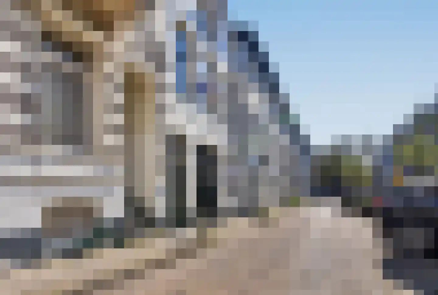 Dijkstraat 14 2 Arnhem thumbnail 5