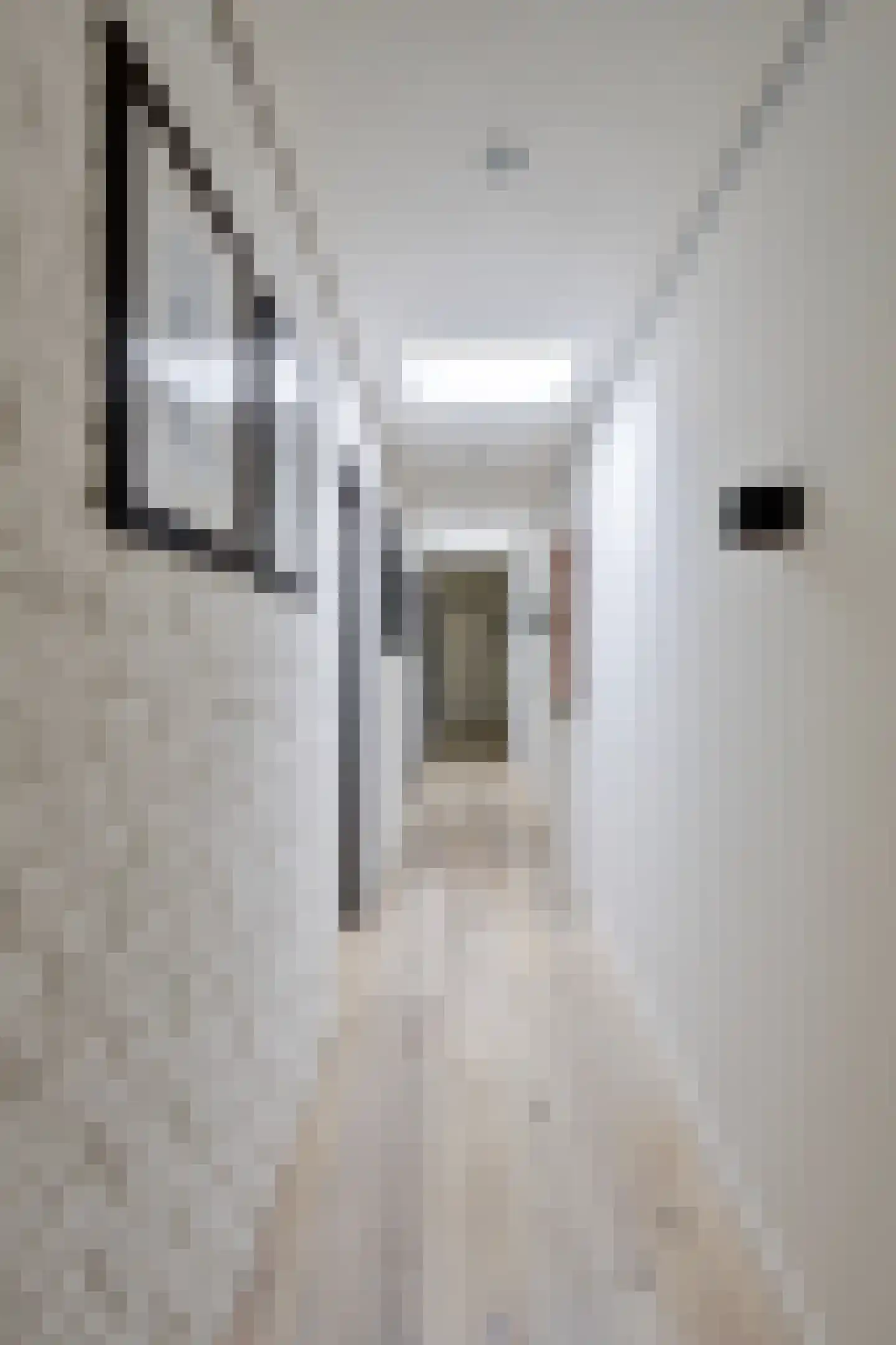 Dijkstraat 14 Bemmel thumbnail 12