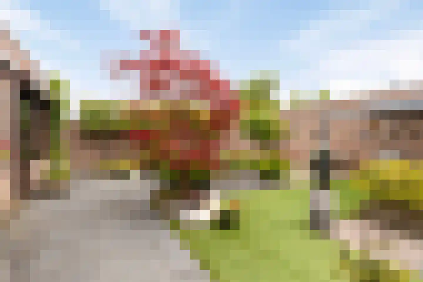 Dijkstraat 14 Bemmel thumbnail 33