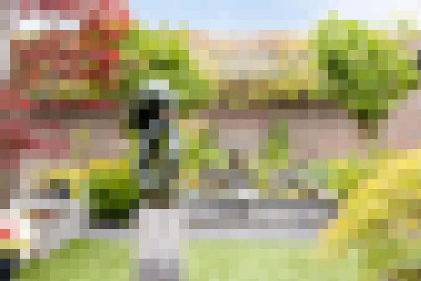 Dijkstraat 14 Bemmel thumbnail 36