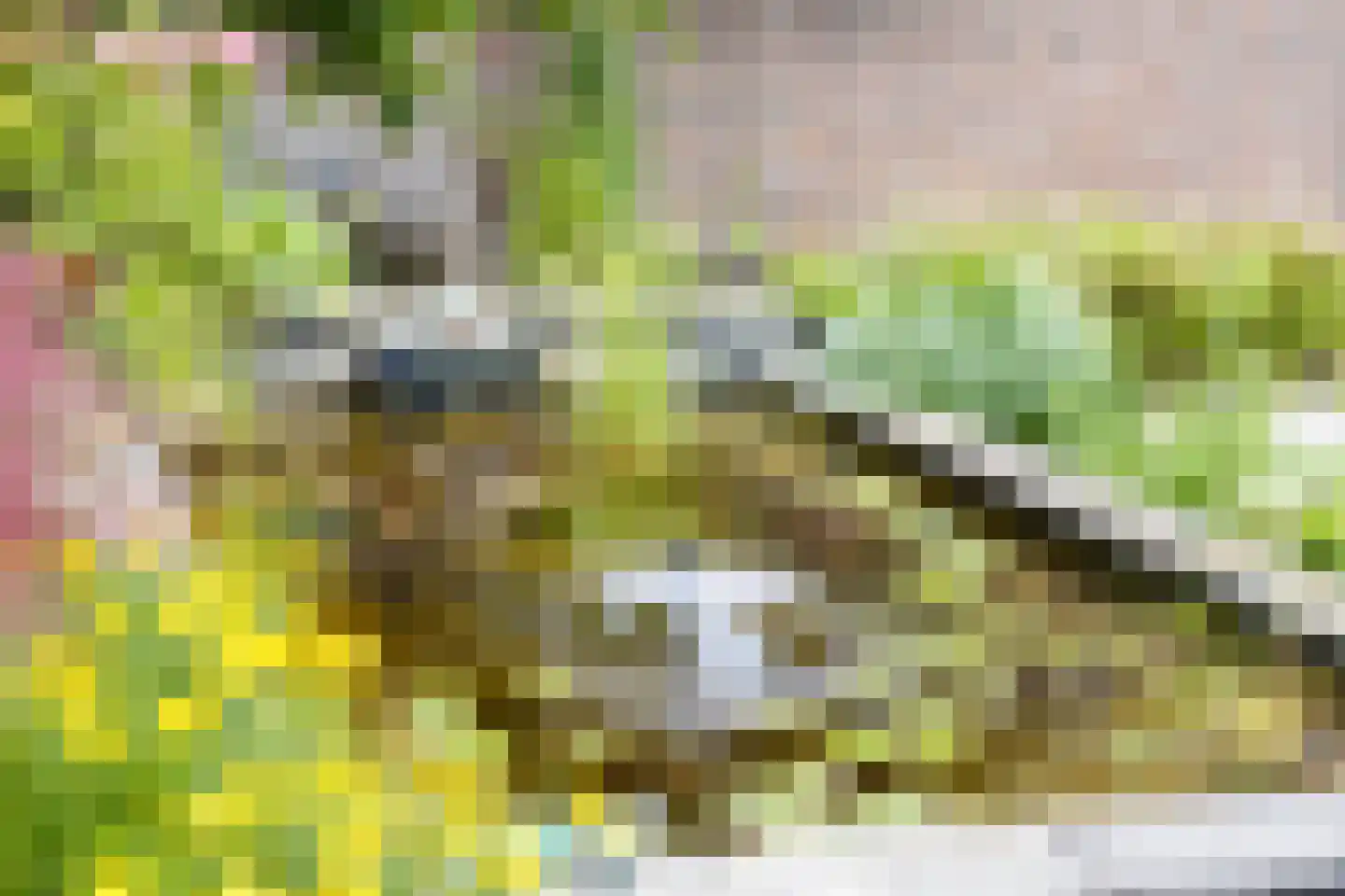 Dijkstraat 14 Bemmel thumbnail 37