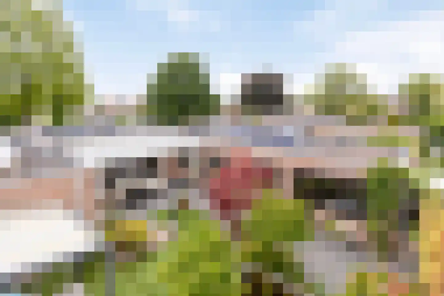 Dijkstraat 14 Bemmel thumbnail 39