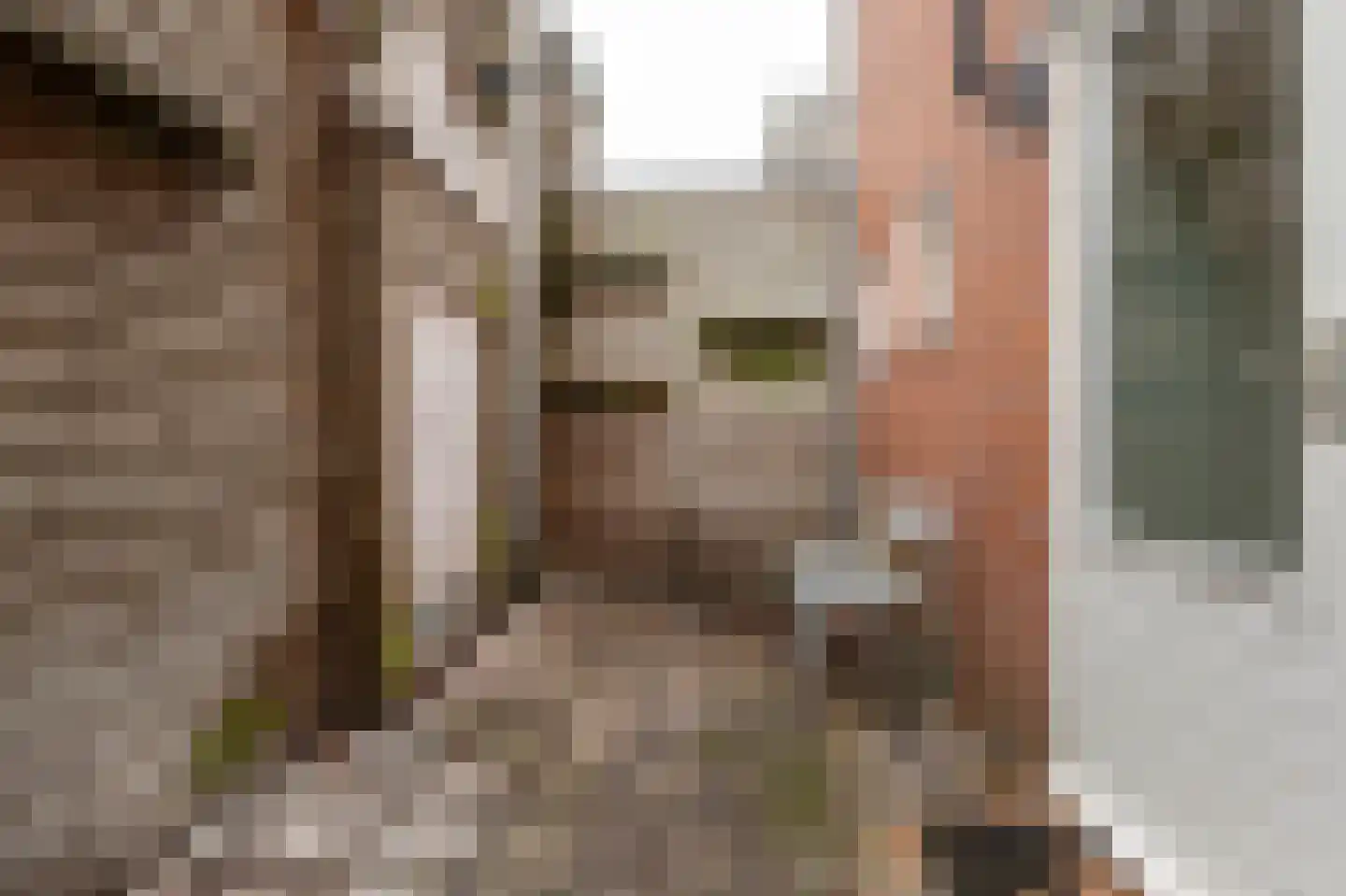 Dijkstraat 15 Groningen thumbnail 20