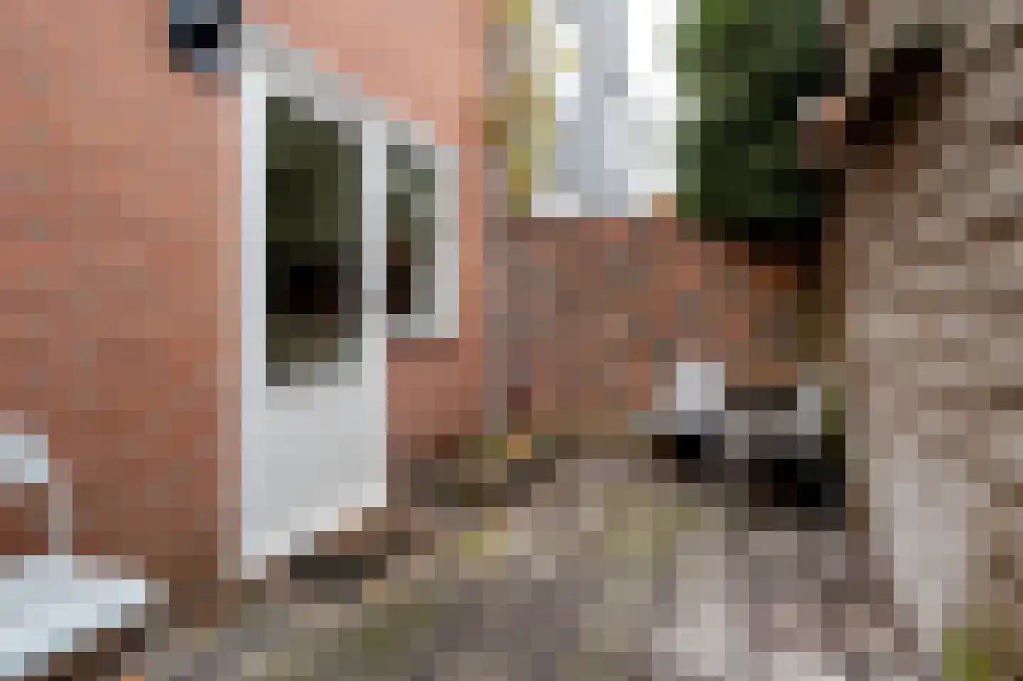 Dijkstraat 15 Groningen thumbnail 21