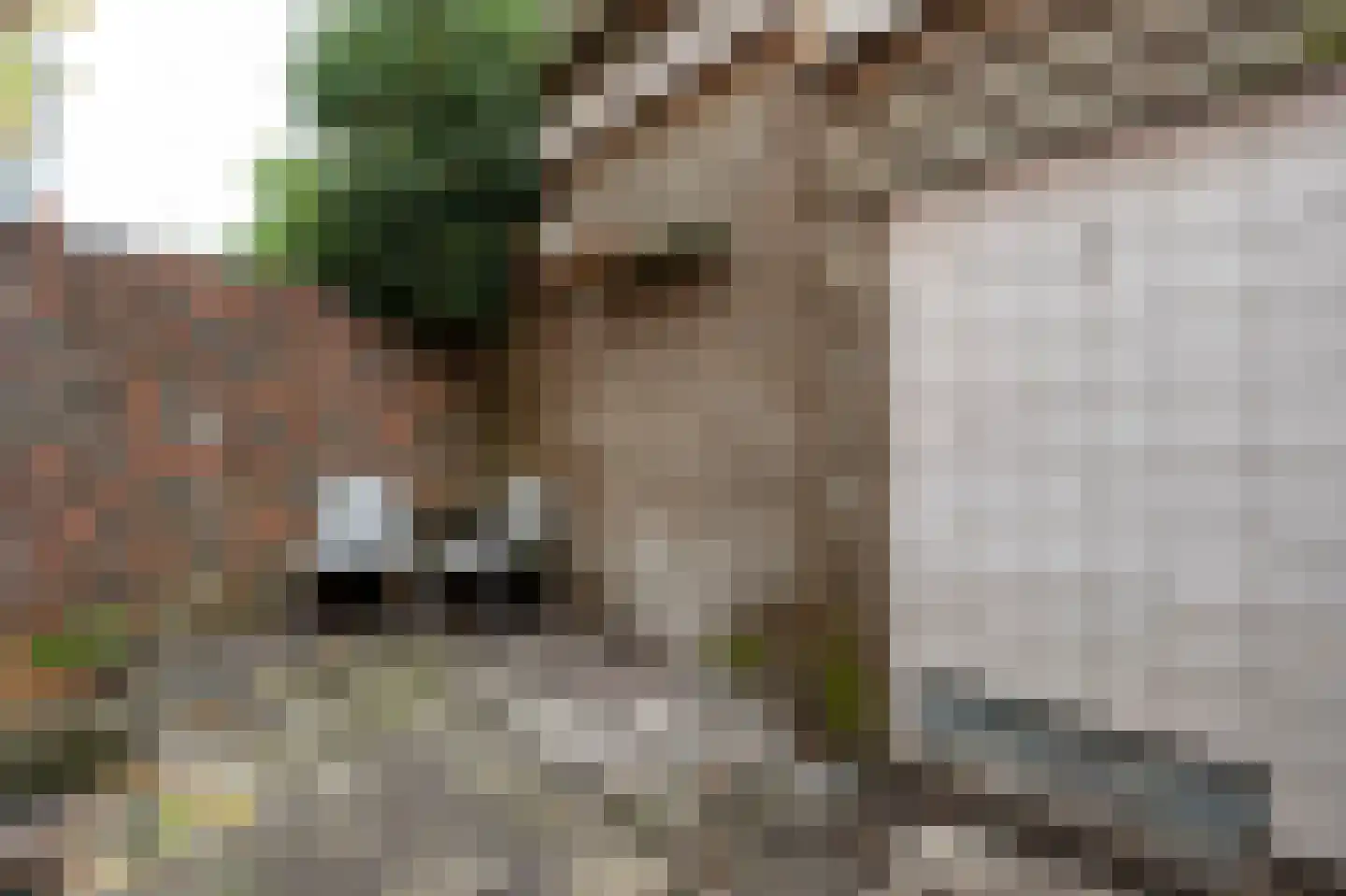 Dijkstraat 15 Groningen thumbnail 22