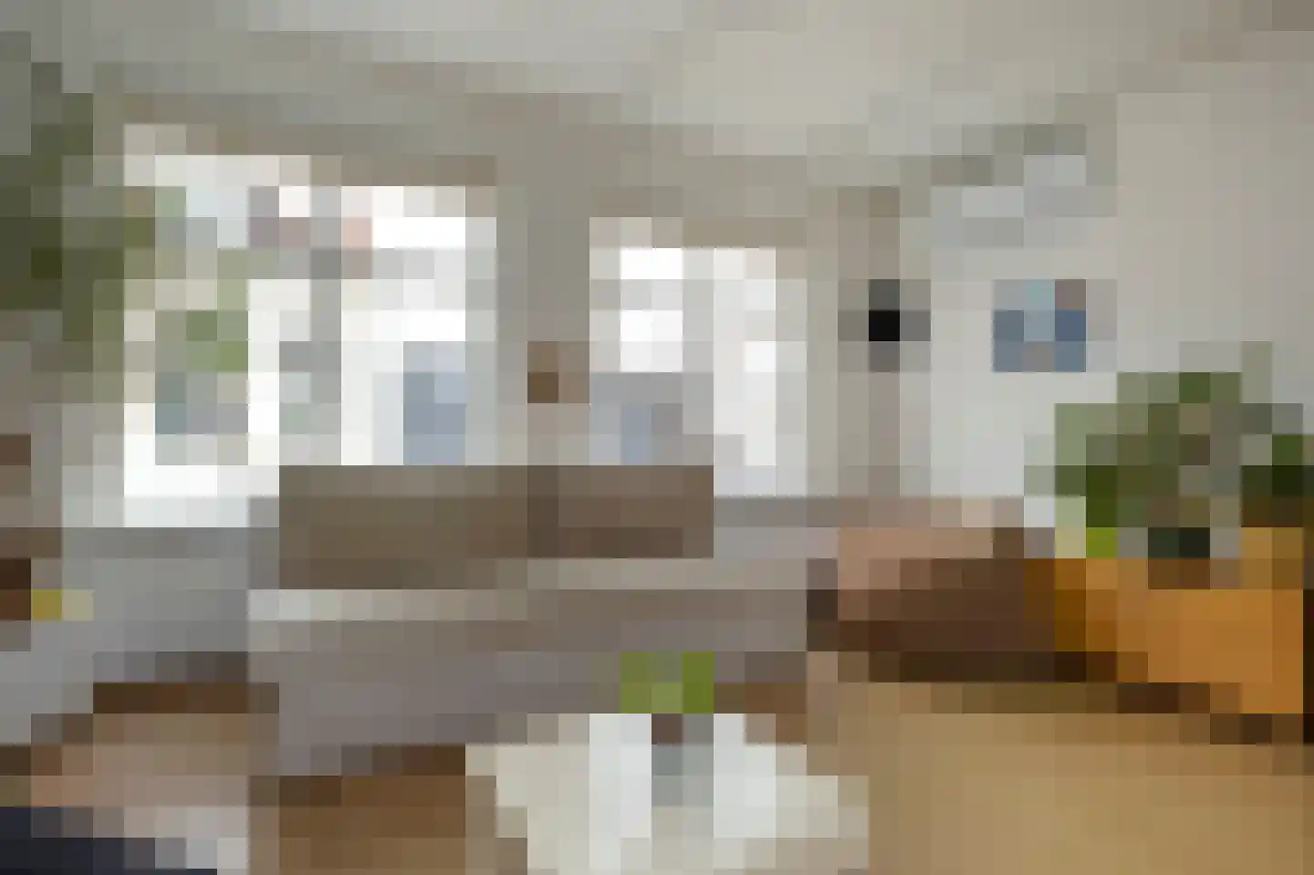 Dijkstraat 15 Groningen thumbnail 27