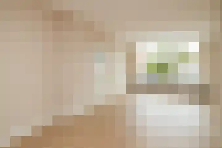 Dijkstraat 15 Honselersdijk thumbnail 7