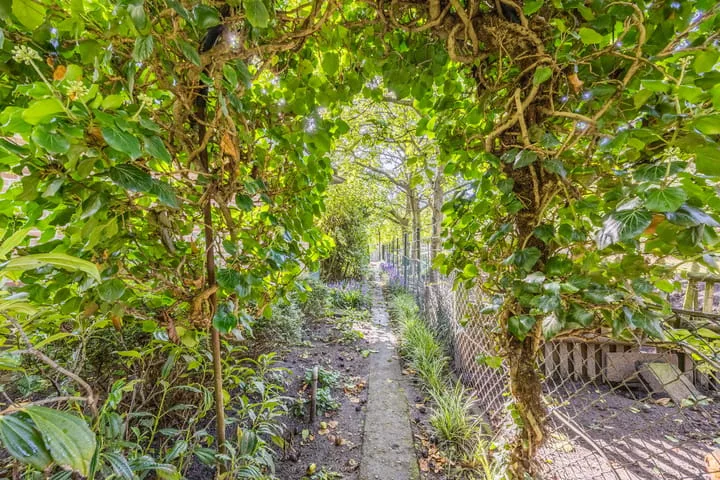 Dijkstraat 16 Nistelrode thumbnail 56